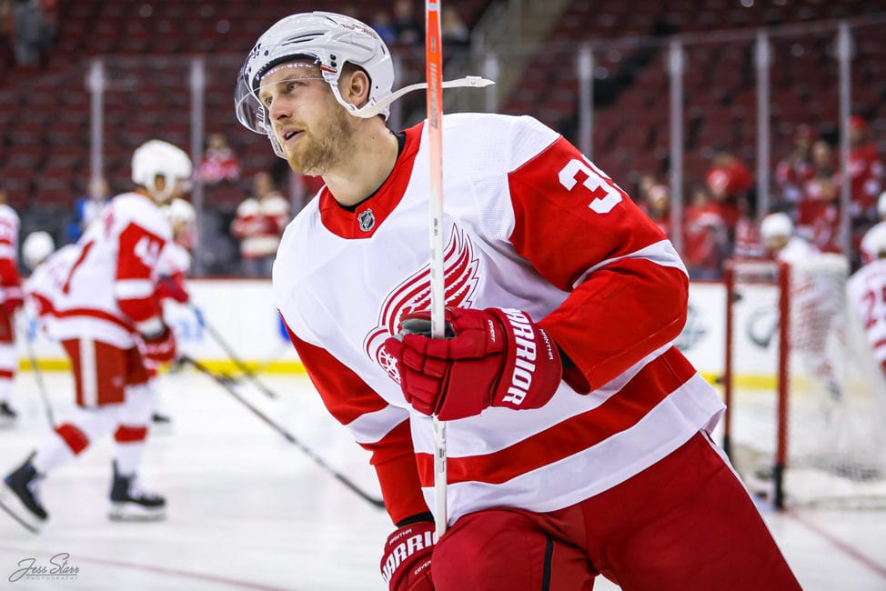 The Detroit Red Wings Should Build Up On The Wings