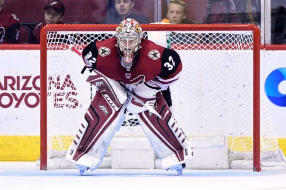 Antti Raanta, Arizona Coyotes