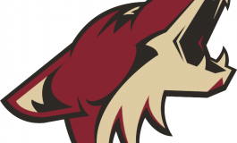 Arizona Coyotes Logo History