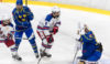 Blake Biondi - 2020 NHL Draft Prospect Profile - The Hockey Writers ...