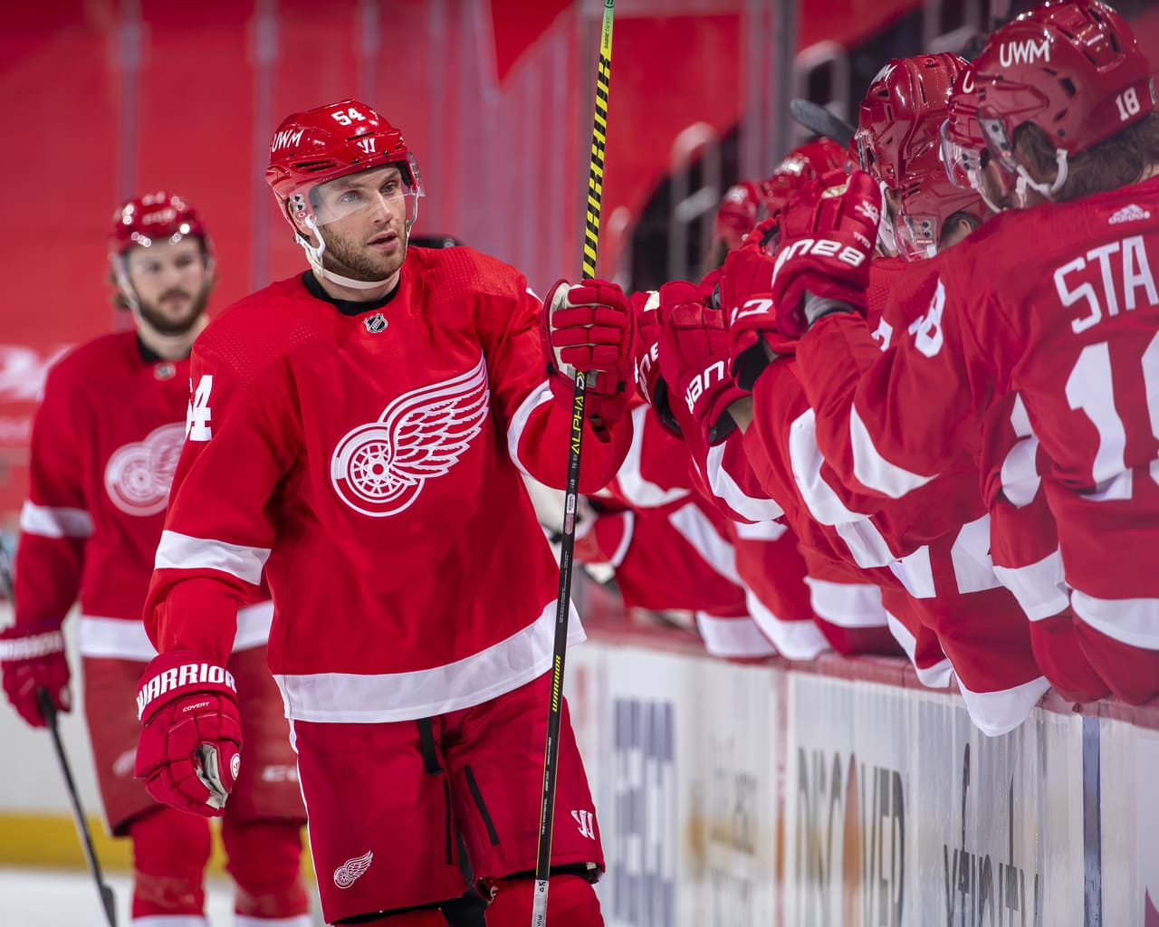 Red Wings announce new helmet sponsor: Meijer