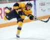 Prospects News & Rumors: OHL, ECHL, Demidovich & Greig