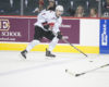 Brayden Tracey - 2019 NHL Draft Prospect Profile