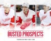 7 Red Wings' Prospects That Busted