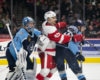 AHL Central News: Griffins & Rampage Riding High