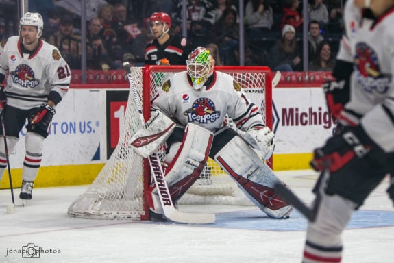 Collin Delia, Rockford IceHogs