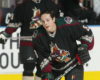 Coyotes Over the Moon About 25th Anniversary