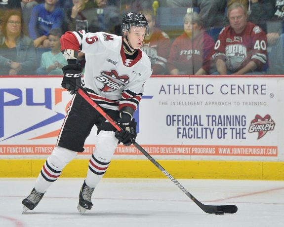 Daniil Chayka Guelph Storm