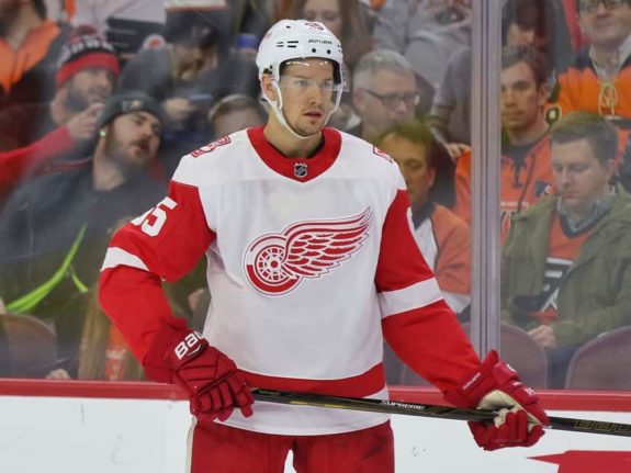 Detroit Red Wings defenseman Danny DeKeyser.