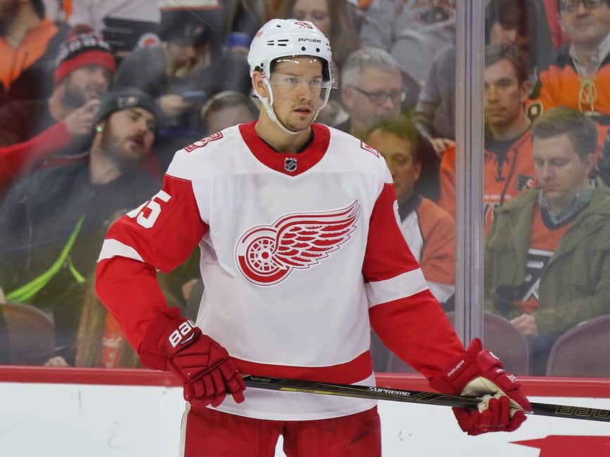 Danny DeKeyser Red Wings