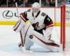 Coyotes Still Alive in Playoff Race with 22 Games Left