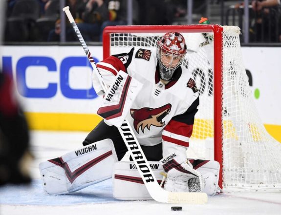 Coyotes Goalie Depth Chart