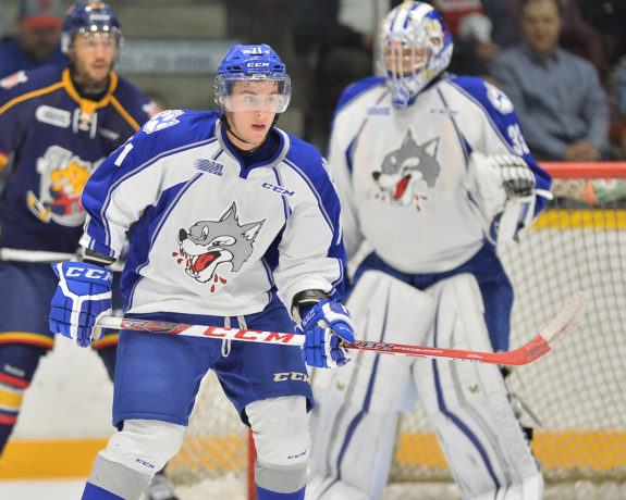 David Levin, OHL, Sudbury Wolves