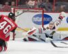 Rockford IceHogs 2018-19 Season Preview