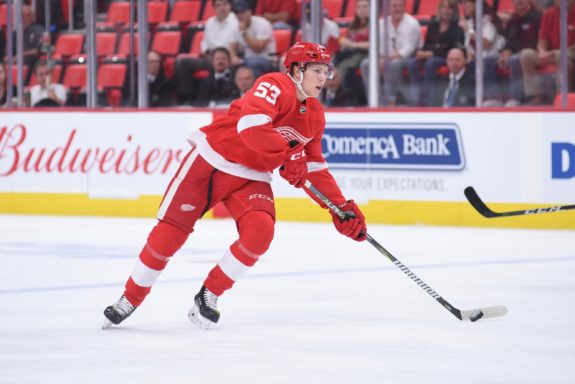 Detroit Red Wings defenseman Dennis Cholowski