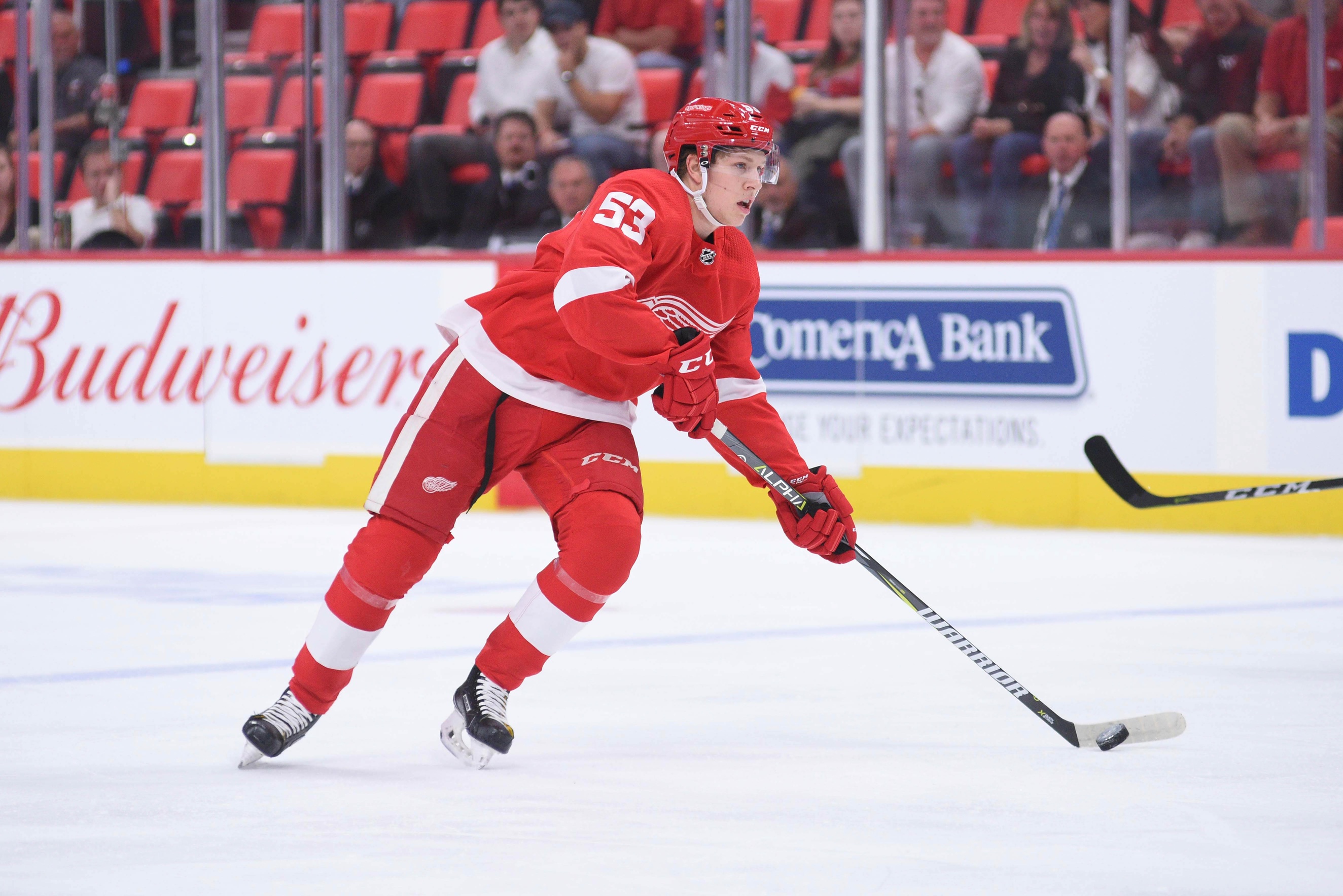 Detroit Red Wings - 2018-19 Season Recap 