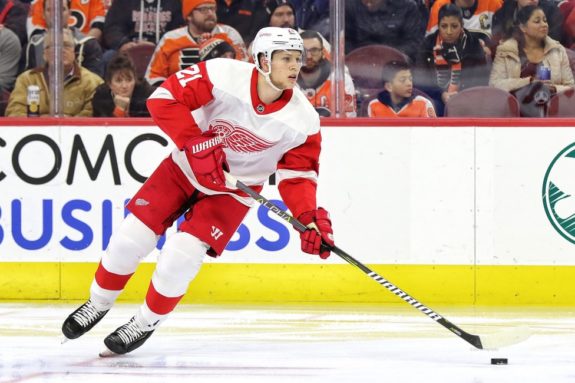 Detroit Red Wings: Predicting Moritz Seider's 2019-20 Team