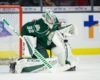 Dustin Wolf - 2019 NHL Draft Prospect Profile