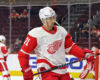 Can the Red Wings Contend in 2019-20?