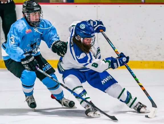 Kelly Babstock played with the Connecticut Whale and Buffalo Beauts prior to signing with the Riveters.