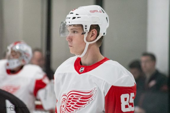 Elmer Soderblom Detroit Red Wings