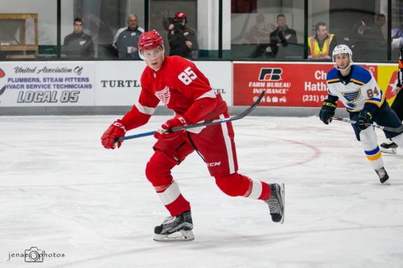 Detroit Red Wings Elmer Soderblom