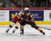 Wolves Primed for Central Division Three-Peat