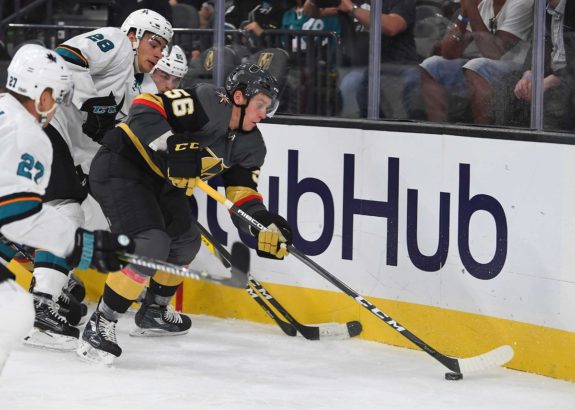 Vegas Golden Knights left wing Erik Haula