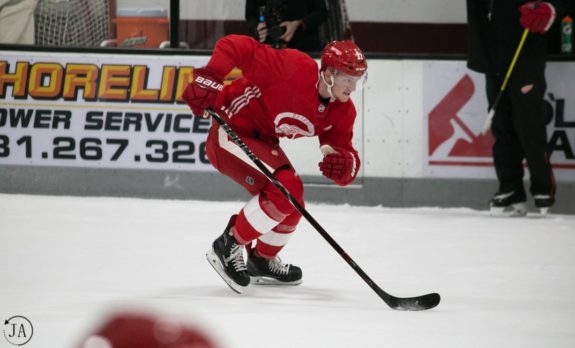 Evgeny Svechnikov of the Detroit Red Wings.