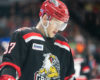 Red Wings' Prospect Contracts Affected by Season Pause