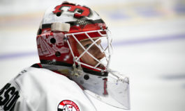 Senators Have Solid Goalie Options Behind Murray