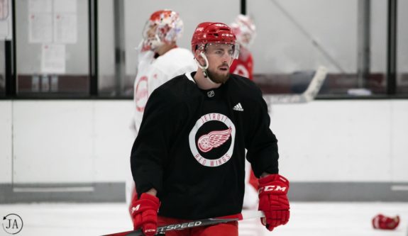 Filip Hronek of the Detroit Red Wings.