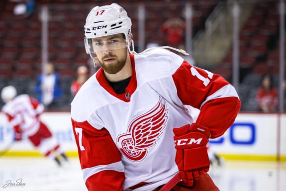 Detroit Red Wings defenseman Filip Hronek.