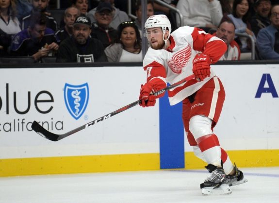 Red Wings defenseman Filip Hronek