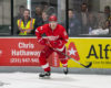 Prospects News & Rumors: Zadina, Lantosi, WHL & Zary