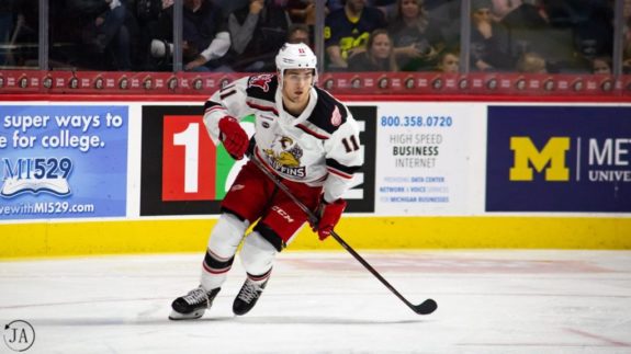 Detroit Red Wings prospect Filip Zadina playing for the Grand Rapids Griffins.