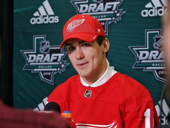 Filip Zadina Red Wings