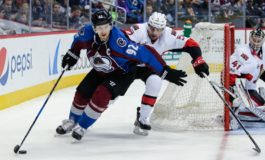 How the Avalanche Cleared Dead Wood