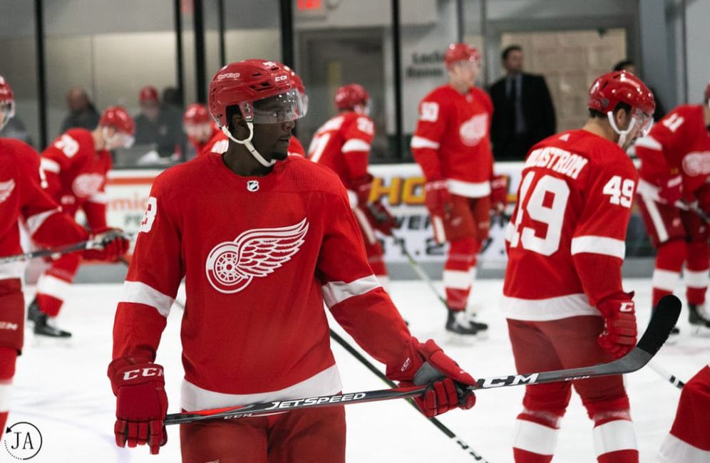 Taro Hirose makes solid case for Red Wings' second line 