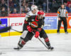 5 Stand-Outs From Red Wings' 2020-21 Training Camp