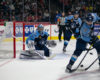 AHL Central News: Admirals Chart Their Way to the Top