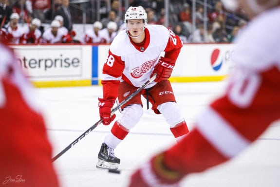 Gustav Lindstrom is showing promise for the Detroit Red Wings
