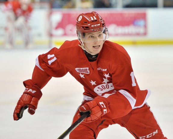 Mac Hollowell - Sault Ste. Marie Greyhounds