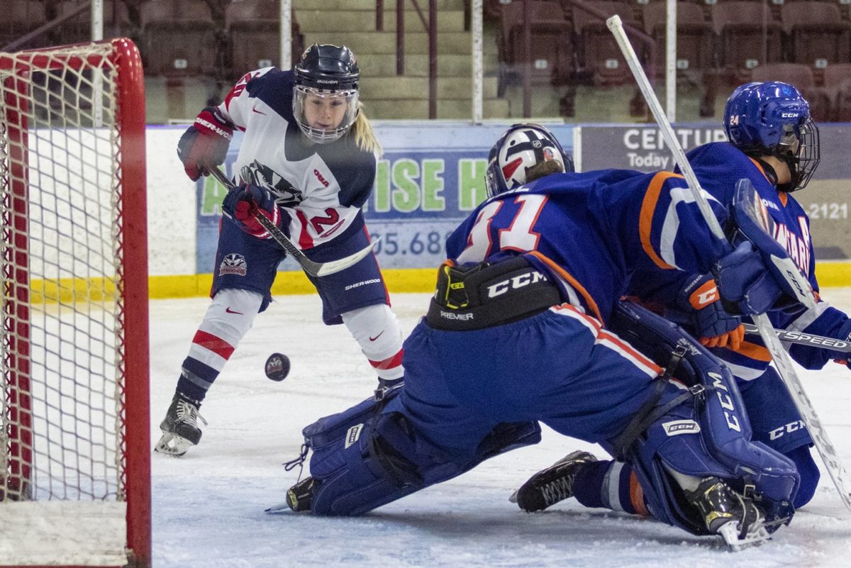 Hunter Accursi Brock University Badgers