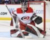 Hurricanes Owe McElhinney Another Shot in Net