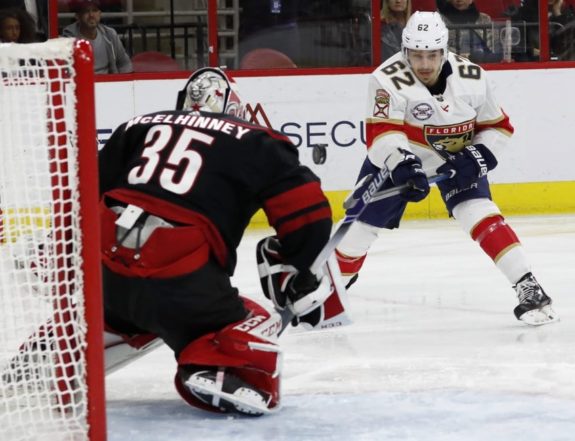 Florida Panthers' Denis Malgin Carolina Hurricanes Curtis McElhinney