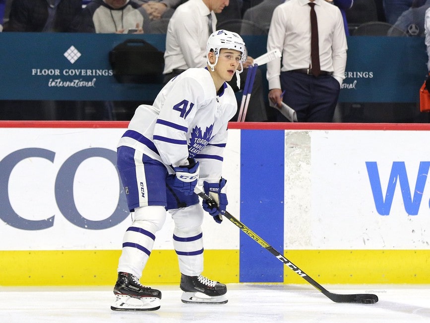 Dmytro Timashov Toronto Maple Leafs