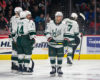 AHL Central News: Wild Stay Hot