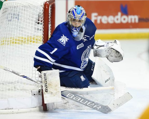 Jacob Ingham Mississauga Steelheads