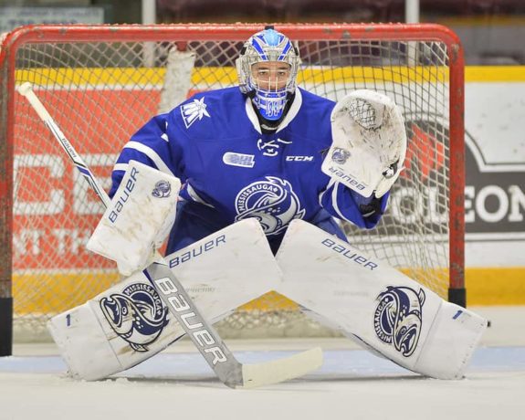 Jacob Ingham, Mississauga Steelheads